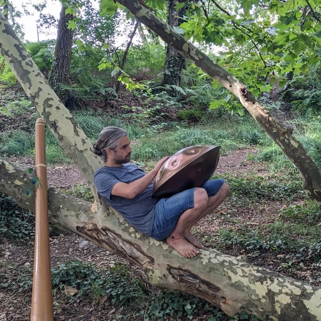 Melotonine jouant du handpan sur une branche de platane, didgeridoo posé à côté.